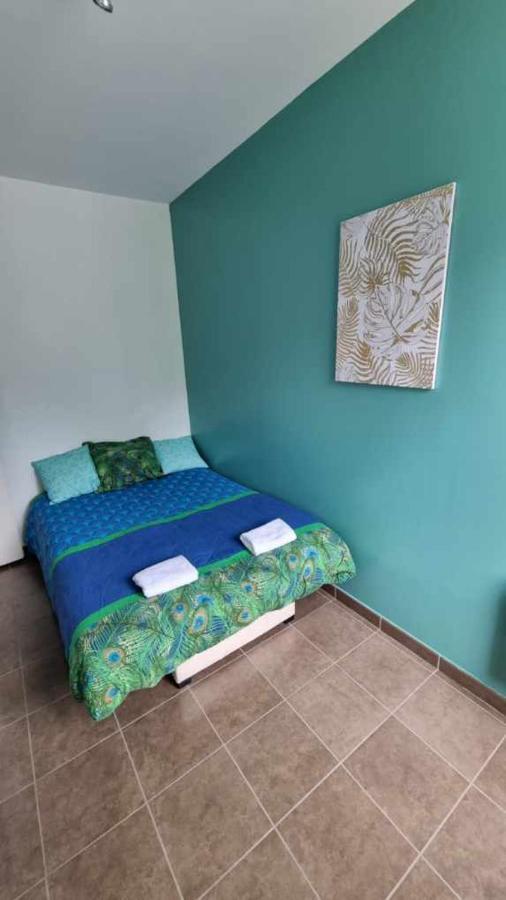 Castelema - Appartement Proche Du Sanctuaire Lourdes Exterior photo